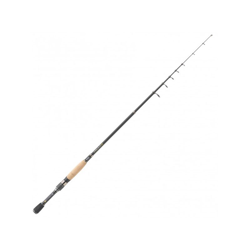 canna da pesca spinning mitchell